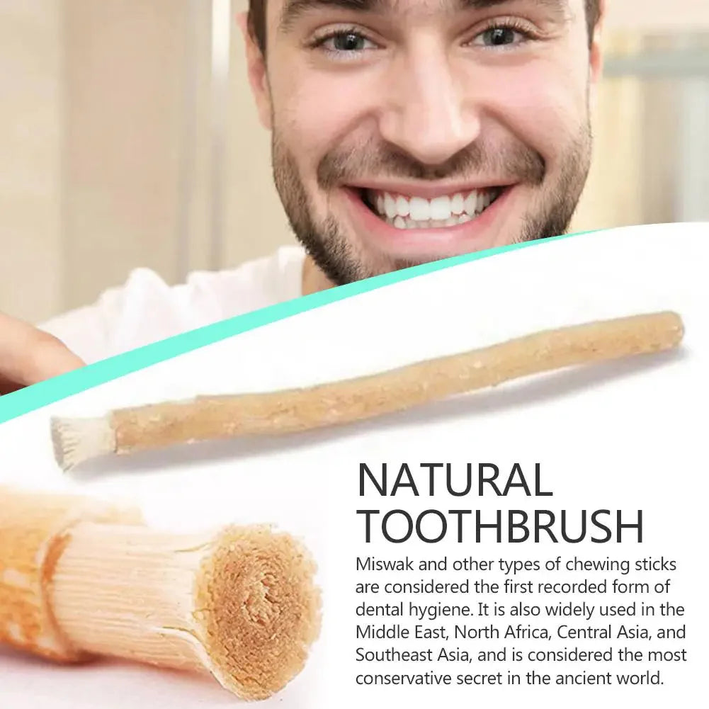 EPIXEN™ Ancient Miswak Toothbrush