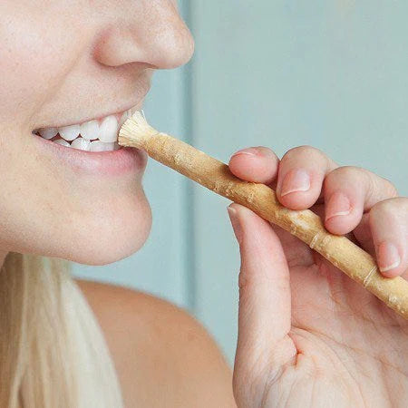 EPIXEN™ Ancient Miswak Toothbrush