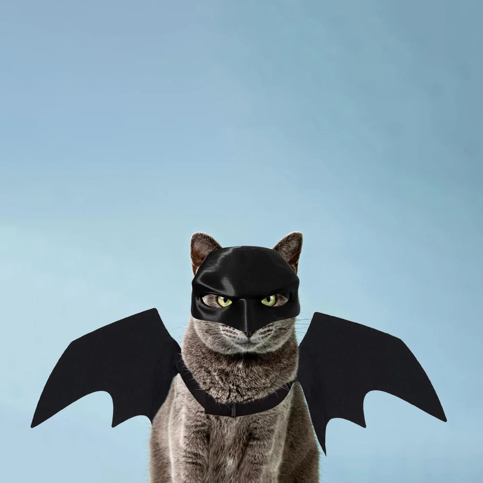 "Fear The Catman" - Hallowen Costume