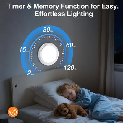Rechargeable Motion Sensor Ceiling Light