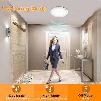 Rechargeable Motion Sensor Ceiling Light
