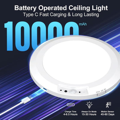 Rechargeable Motion Sensor Ceiling Light