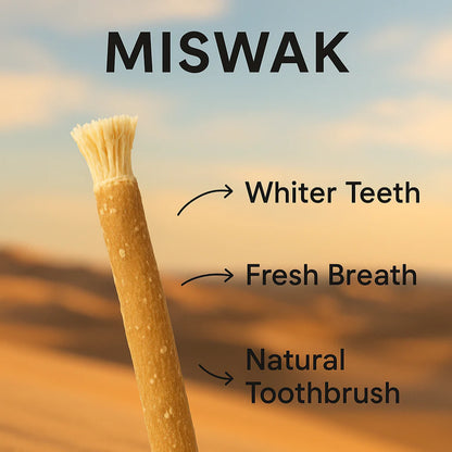 EPIXEN™ Ancient Miswak Toothbrush